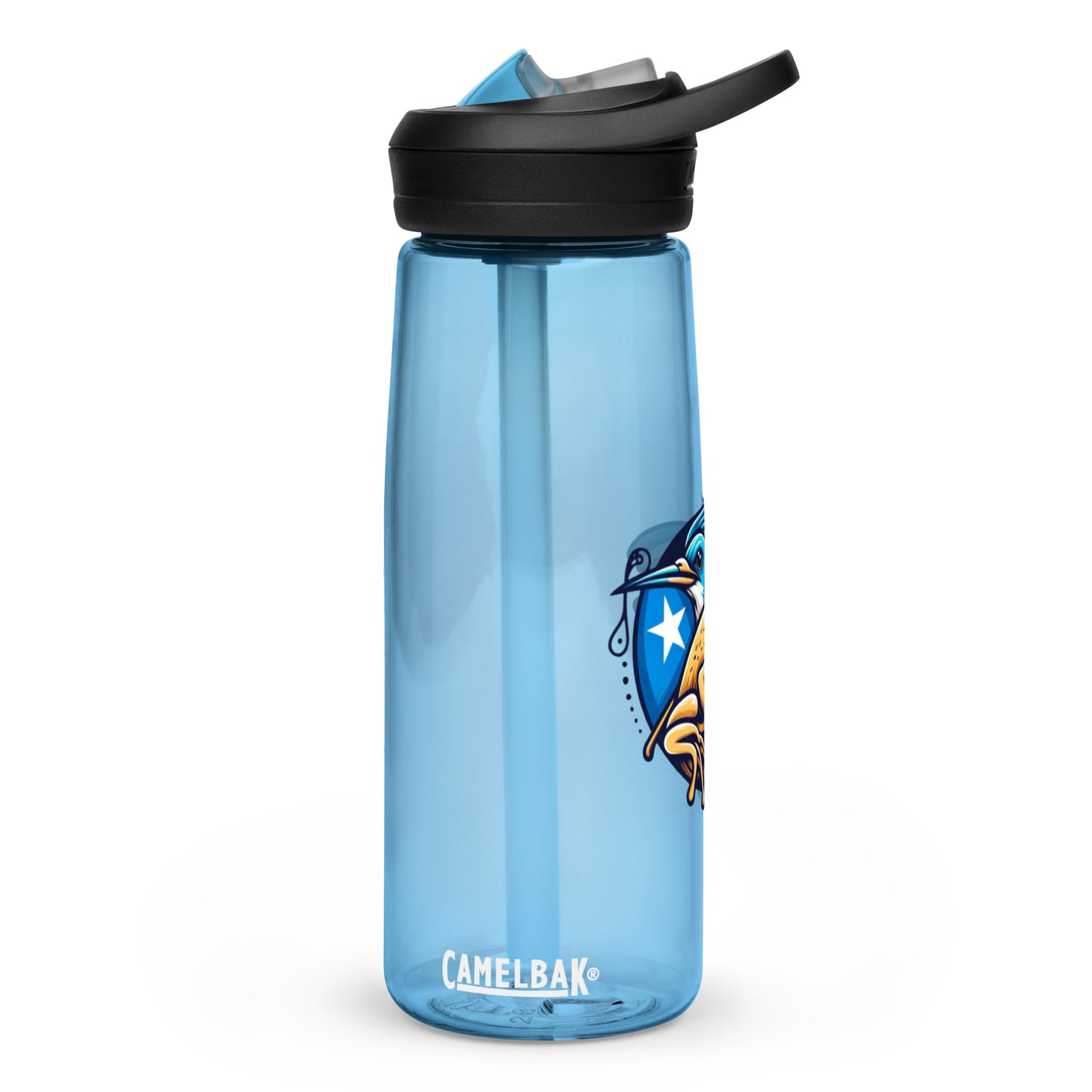 Sports water bottle