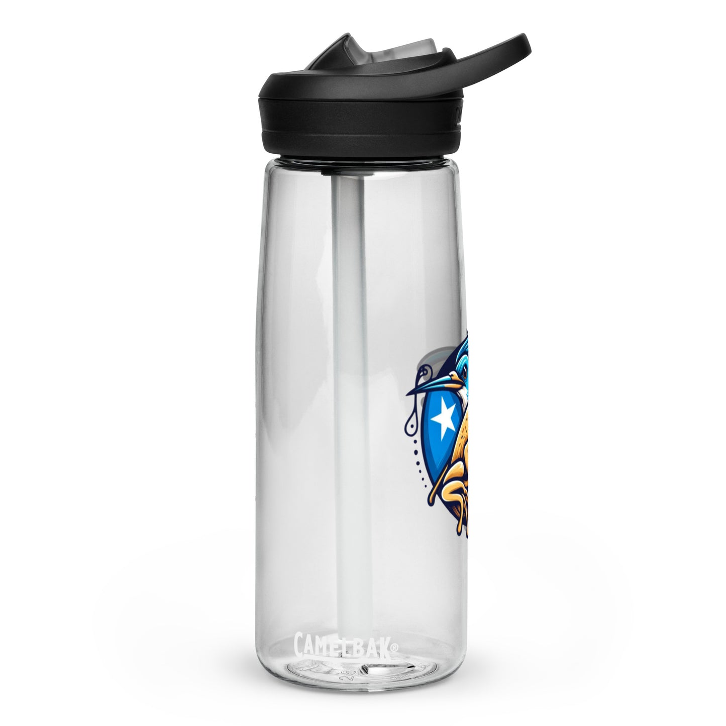 Sports water bottle