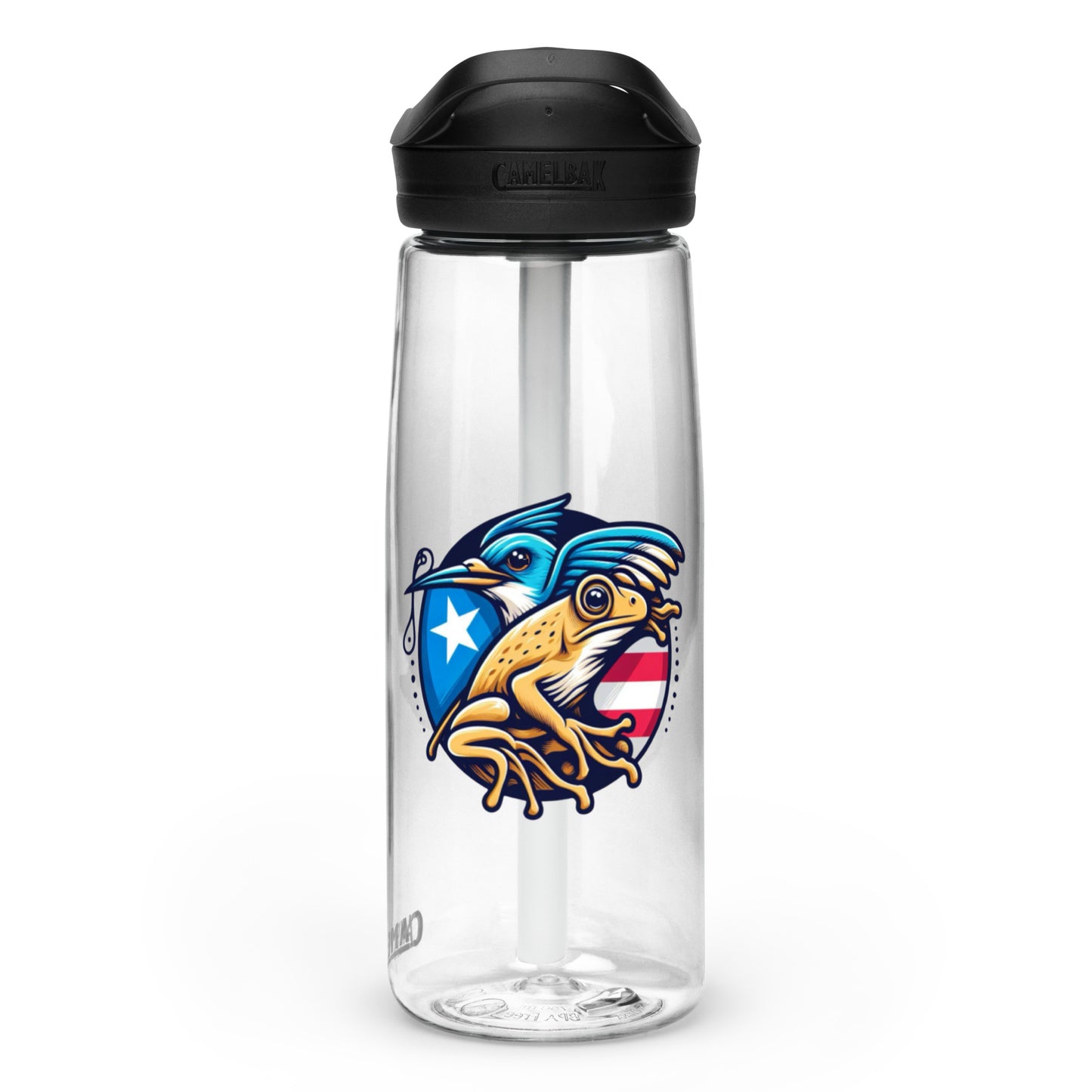 Sports water bottle