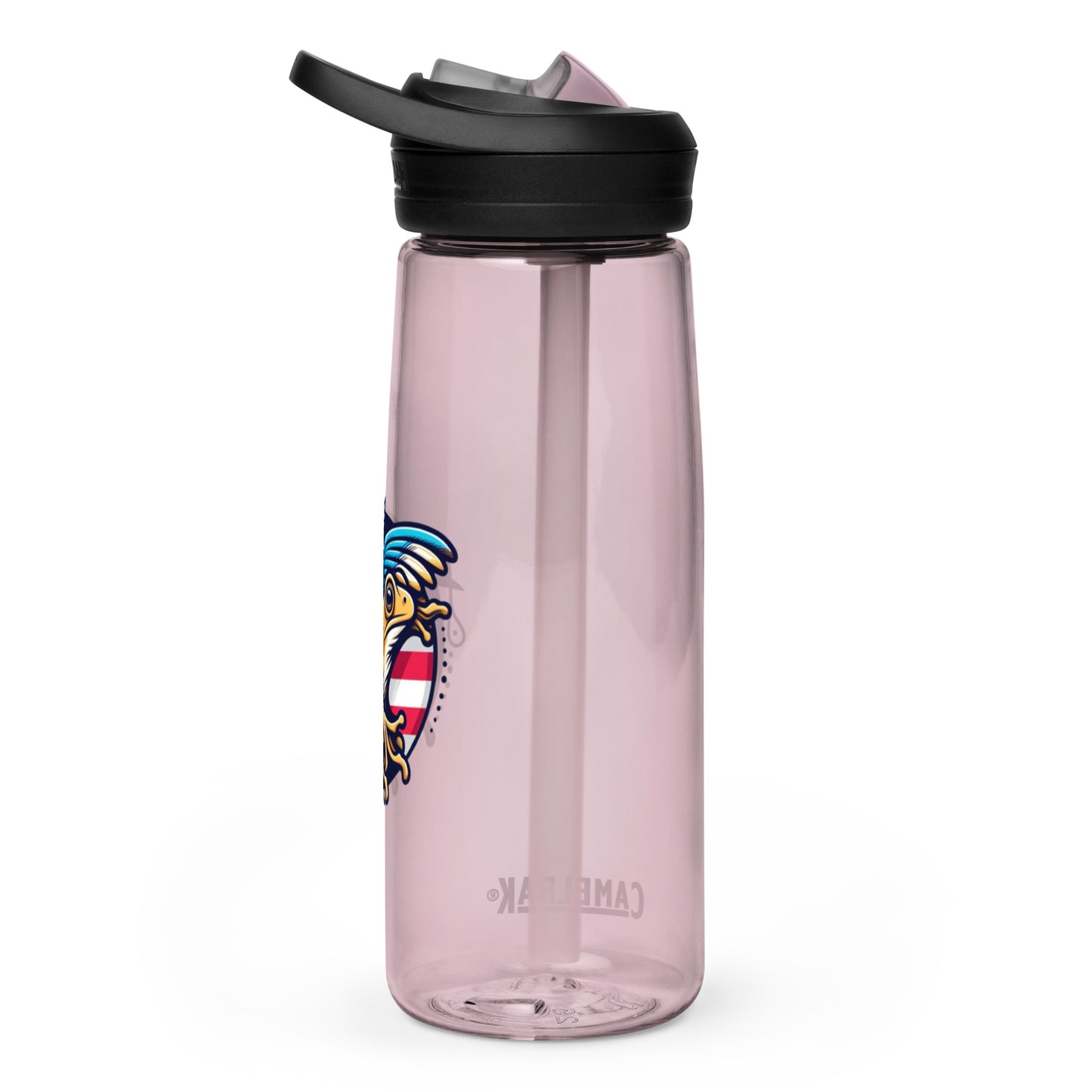 Sports water bottle