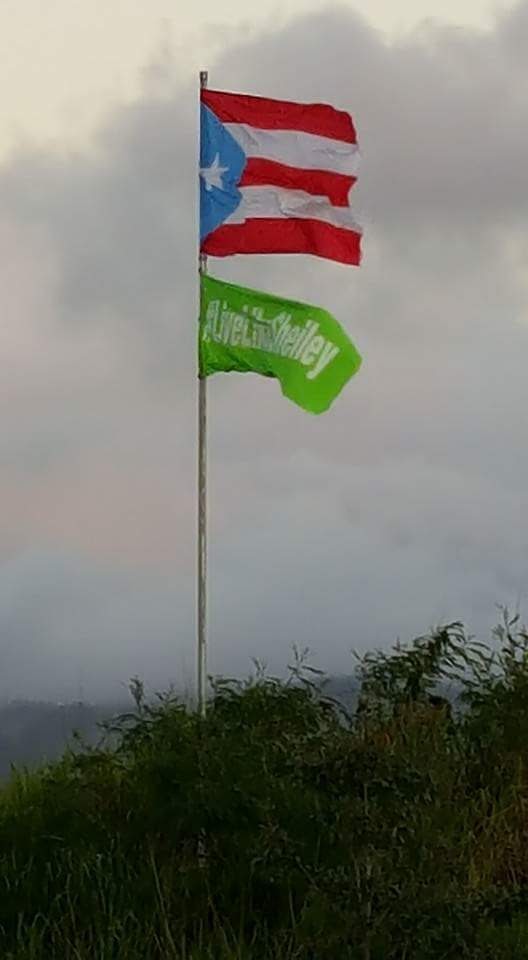 Bandera de Puerto Rico